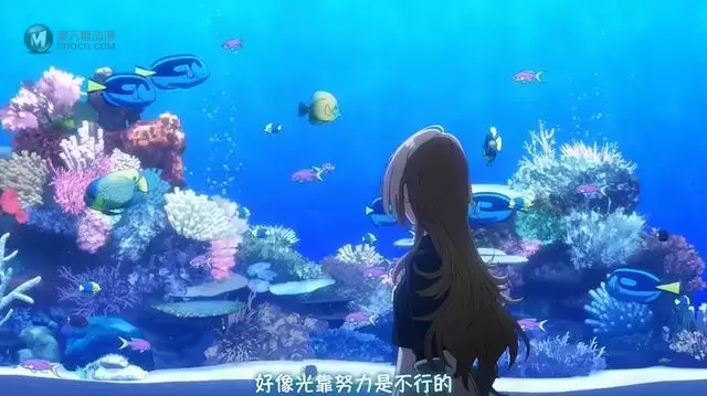 TV动画「白砂的Aquatope」先导PV公开 TV动画「白砂的Aquatope」先导PV公开