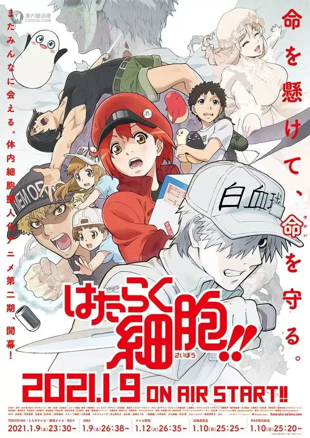 「工作细胞 第一季」于2021年2月13日在央视CCTV6播出 「工作细胞 第一季」于2021年2月13日在央视CCTV6播出
