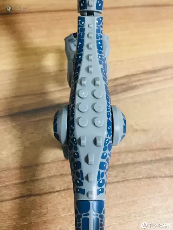 乐高恐龙之重爪龙晒物——来自LEGO 75935重爪龙之战 乐高恐龙之重爪龙晒物——来自LEGO 75935重爪龙之战