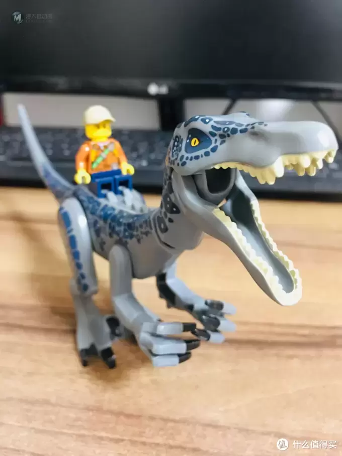 乐高恐龙之重爪龙晒物——来自LEGO 75935重爪龙之战 乐高恐龙之重爪龙晒物——来自LEGO 75935重爪龙之战