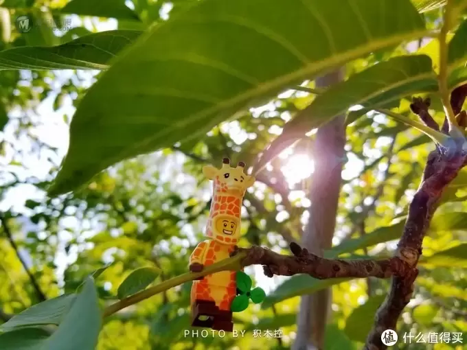 试试拿出闲置的乐高人仔,分分钟大片即视感 试试拿出闲置的乐高人仔,分分钟大片即视感
