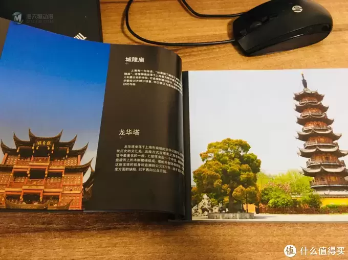 建筑系列新手的第一晒—乐高 21039上海天际线开箱晒物 建筑系列新手的第一晒—乐高 21039上海天际线开箱晒物