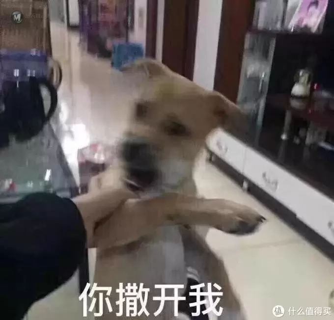 王走的30天,想他 — 麦克法兰 GoT 可动人偶 王&丫 王走的30天,想他 — 麦克法兰 GoT 可动人偶 王&丫