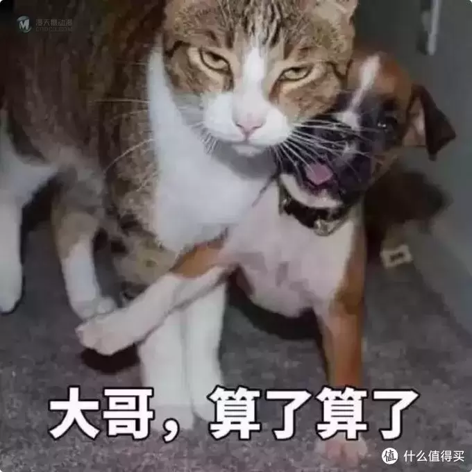 王走的30天,想他 — 麦克法兰 GoT 可动人偶 王&丫 王走的30天,想他 — 麦克法兰 GoT 可动人偶 王&丫