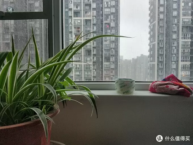 图书馆猿の晨光(M&G)政区地球仪 简单晒 图书馆猿の晨光(M&G)政区地球仪 简单晒