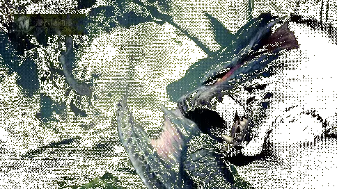 重返游戏:《怪物猎人世界: ICEBORNE》带你一览银白色的新世界 重返游戏:《怪物猎人世界: ICEBORNE》带你一览银白色的新世界