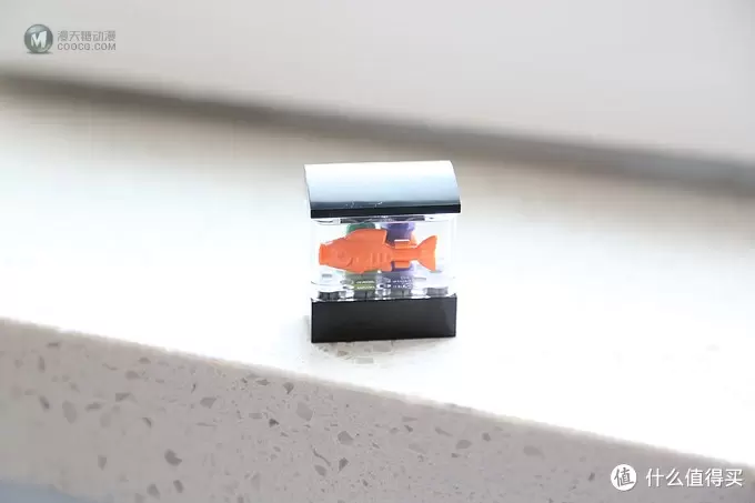 LEGO 乐高 第一套街景系列 10218宠物店 LEGO 乐高 第一套街景系列 10218宠物店