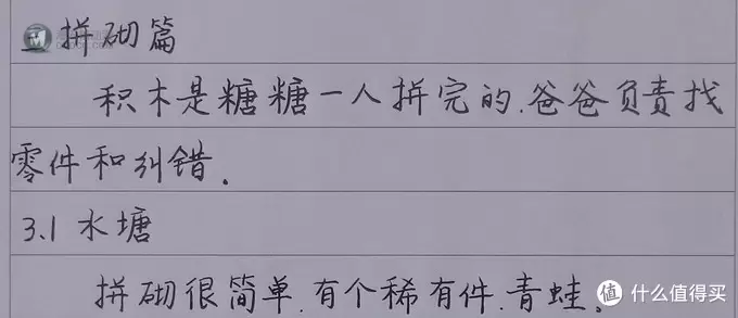 LEGO心湖马术表演 晒单——附手书评测 LEGO心湖马术表演 晒单——附手书评测