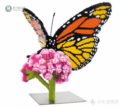 最爱“拼”的玩家:3500块乐高积木拼出奇妙大自然 最爱“拼”的玩家:3500块乐高积木拼出奇妙大自然