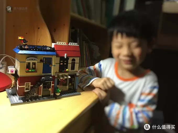 小手拼出大世界:为了多一个选择的LEGO 乐高 31026 小手拼出大世界:为了多一个选择的LEGO 乐高 31026