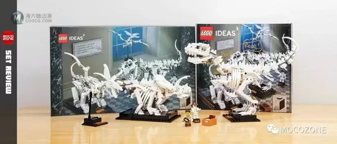 乐高IDEAS新品21320恐龙化石测评 乐高IDEAS新品21320恐龙化石测评