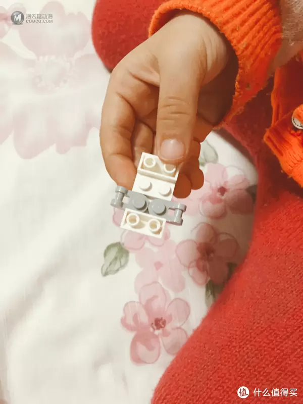 最小的3 in 1套装—乐高30571鹈鹕拼砌包晒物 最小的3 in 1套装—乐高30571鹈鹕拼砌包晒物