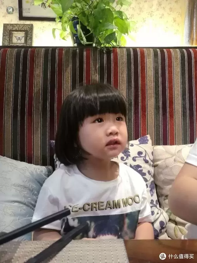 终极乐高—一百万枚耗时三年打造的乐高王国 终极乐高—一百万枚耗时三年打造的乐高王国