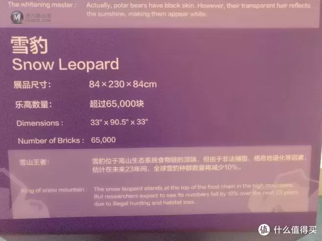 终极乐高—一百万枚耗时三年打造的乐高王国 终极乐高—一百万枚耗时三年打造的乐高王国