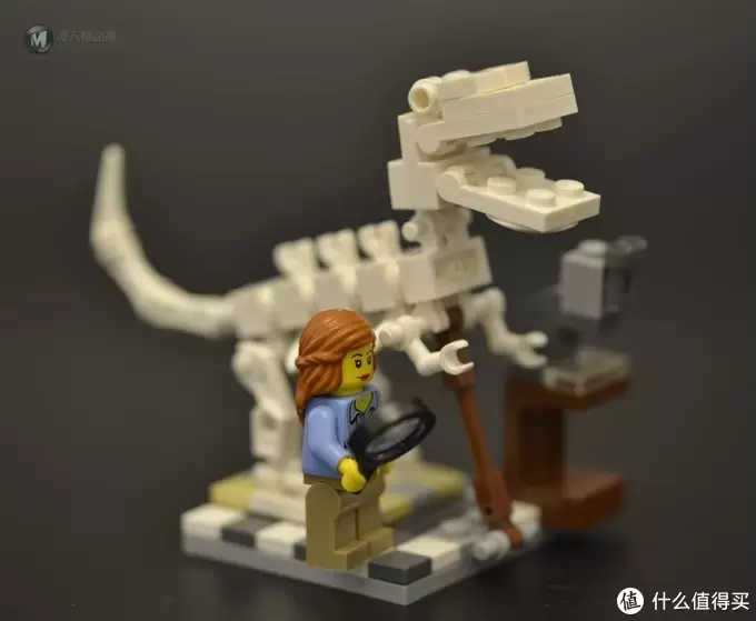 LEGO 乐高 21110 研究室 & 21312 女强人 开箱晒单 LEGO 乐高 21110 研究室 & 21312 女强人 开箱晒单