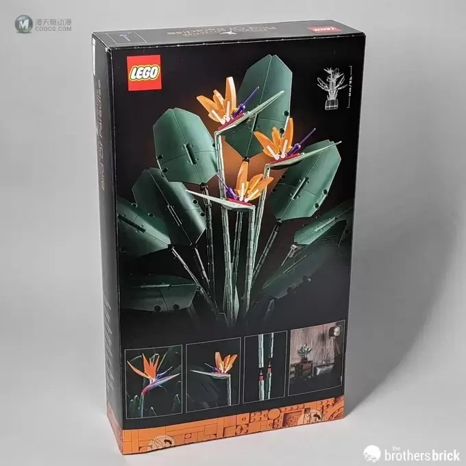 乐高这款怪异套装 10289天堂鸟测评到了!里面竟然有金戒指零件? 乐高这款怪异套装 10289天堂鸟测评到了!里面竟然有金戒指零件?