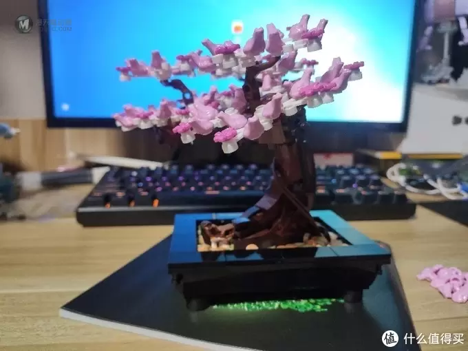 乐高 篇二十:迟来的樱花树——乐高10281B模式 乐高 篇二十:迟来的樱花树——乐高10281B模式