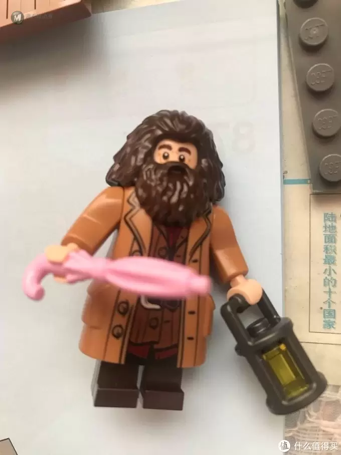 樂祺的乐高LEGO 篇十:哈利波特系列,75954霍格沃茨大礼堂测评 樂祺的乐高LEGO 篇十:哈利波特系列,75954霍格沃茨大礼堂测评