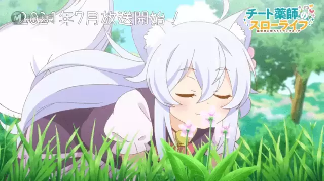 动画「开挂药师的异世界悠闲生活」ノエラ角色PV公开 动画「开挂药师的异世界悠闲生活」ノエラ角色PV公开