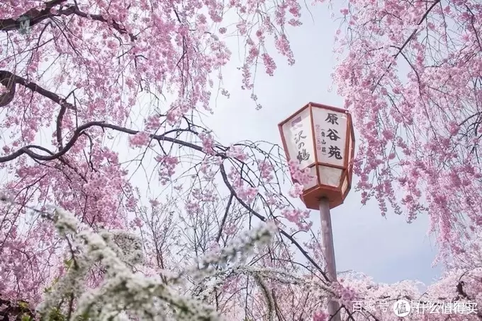 掌中江户:乐高建筑系列21051东京天际线 掌中江户:乐高建筑系列21051东京天际线