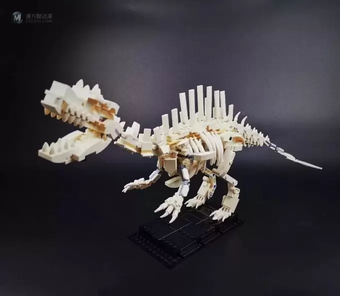 乐高21320恐龙化石重构MOC比赛优秀作品欣赏! 乐高21320恐龙化石重构MOC比赛优秀作品欣赏!