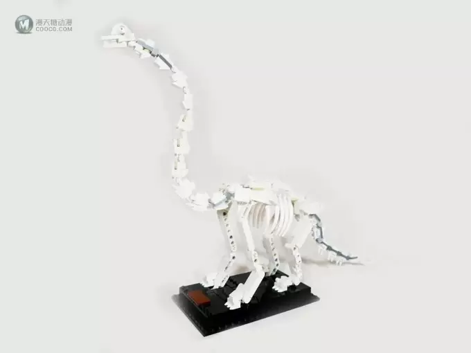 乐高21320恐龙化石重构MOC比赛优秀作品欣赏! 乐高21320恐龙化石重构MOC比赛优秀作品欣赏!