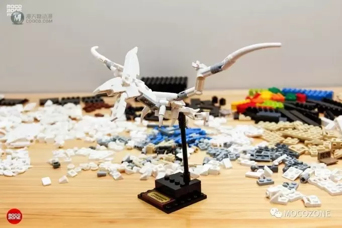 乐高IDEAS新品21320恐龙化石测评 乐高IDEAS新品21320恐龙化石测评