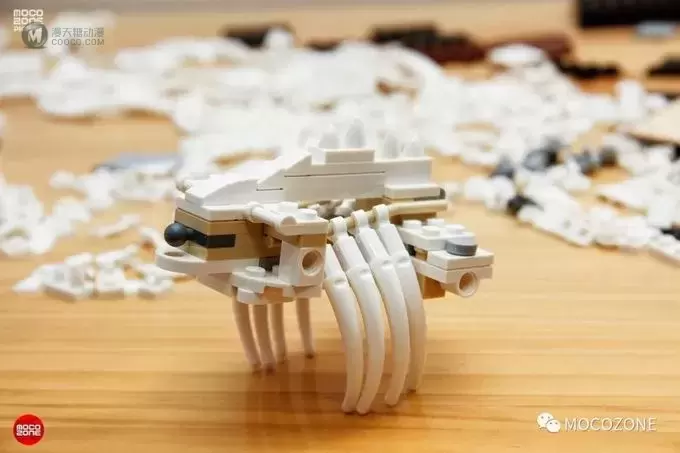 乐高IDEAS新品21320恐龙化石测评 乐高IDEAS新品21320恐龙化石测评