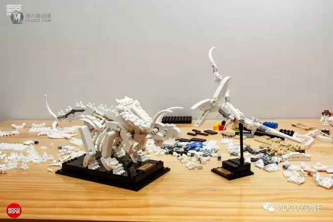 乐高IDEAS新品21320恐龙化石测评 乐高IDEAS新品21320恐龙化石测评