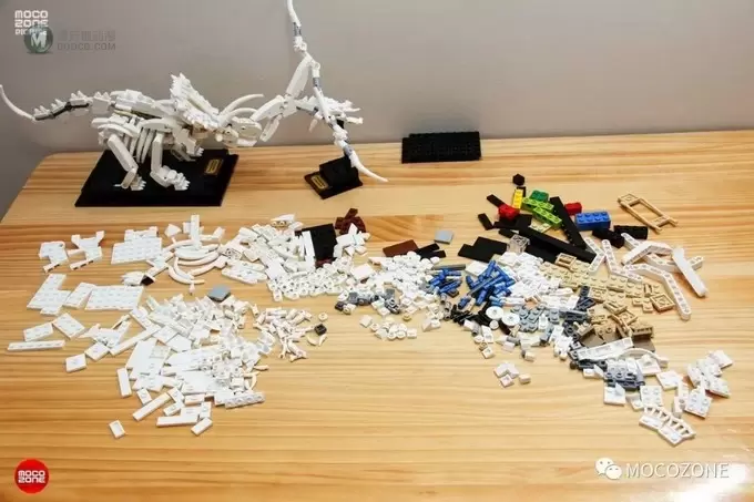 乐高IDEAS新品21320恐龙化石测评 乐高IDEAS新品21320恐龙化石测评