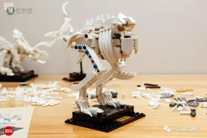 乐高IDEAS新品21320恐龙化石测评 乐高IDEAS新品21320恐龙化石测评