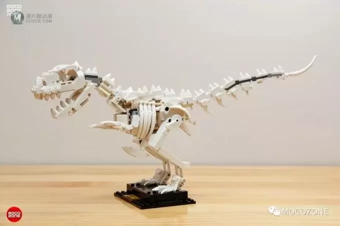 乐高IDEAS新品21320恐龙化石测评 乐高IDEAS新品21320恐龙化石测评