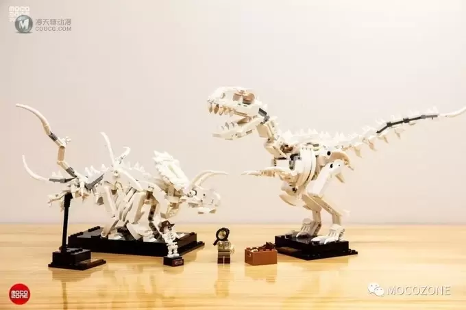 乐高IDEAS新品21320恐龙化石测评 乐高IDEAS新品21320恐龙化石测评