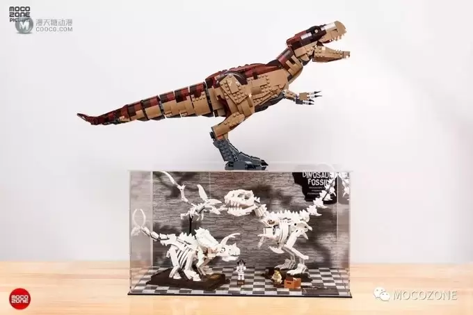 乐高IDEAS新品21320恐龙化石测评 乐高IDEAS新品21320恐龙化石测评