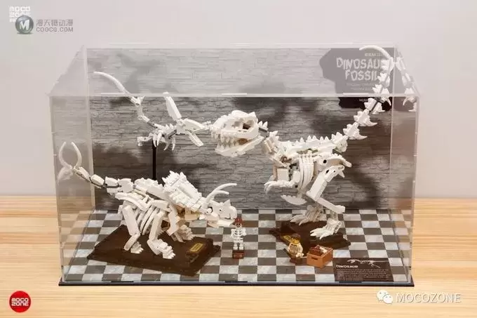 乐高IDEAS新品21320恐龙化石测评 乐高IDEAS新品21320恐龙化石测评