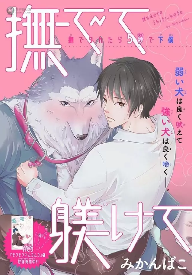 白泉社杂志全新增刊「BLaLa」正式创刊 白泉社杂志全新增刊「BLaLa」正式创刊