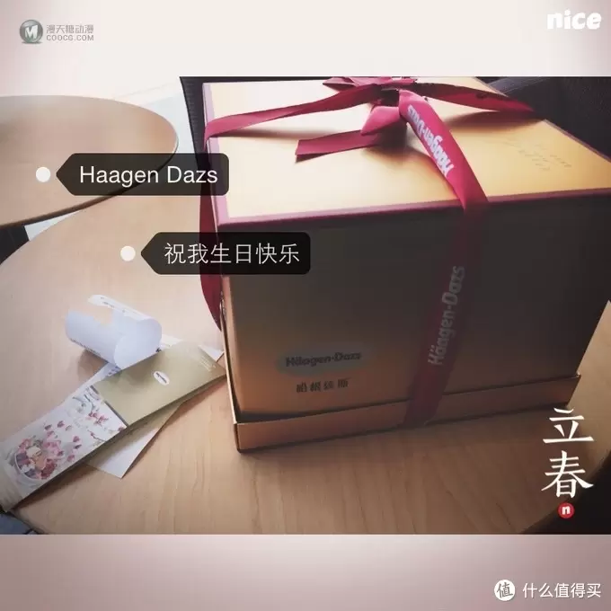 妹子送的生日礼物LEGO 乐高 CREATOR 系列树屋 31010 妹子送的生日礼物LEGO 乐高 CREATOR 系列树屋 31010