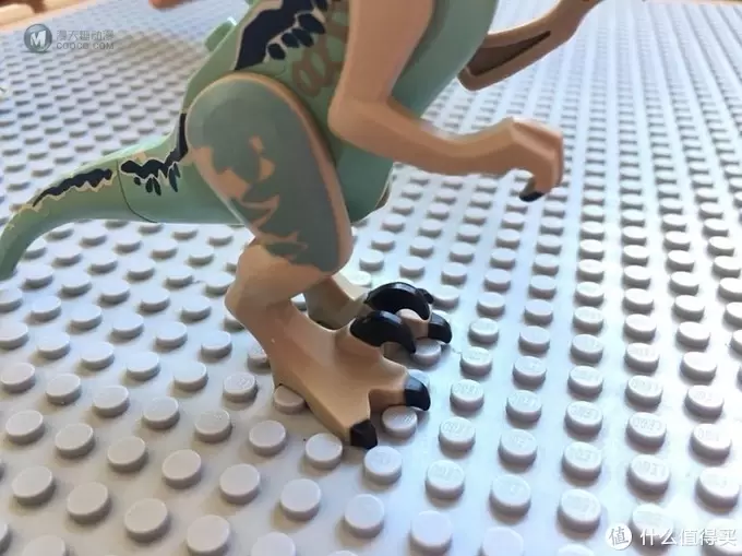 乐高动物界的霸主—LEGO侏罗纪世界 恐龙配件晒物 乐高动物界的霸主—LEGO侏罗纪世界 恐龙配件晒物
