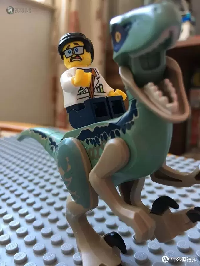 乐高动物界的霸主—LEGO侏罗纪世界 恐龙配件晒物 乐高动物界的霸主—LEGO侏罗纪世界 恐龙配件晒物