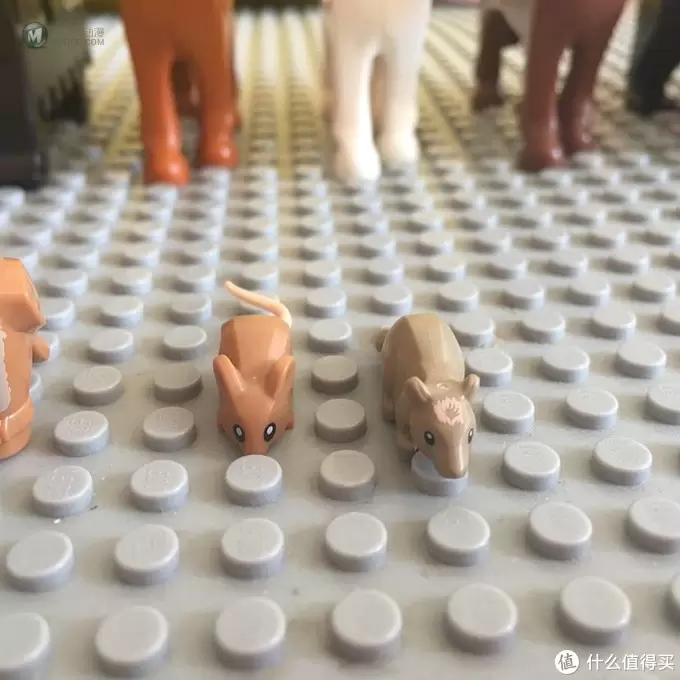 闺女的最爱—LEGO乐高动物配件集合 闺女的最爱—LEGO乐高动物配件集合