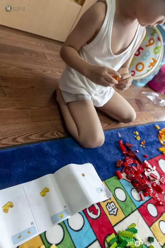 少爷的乐高系列 篇十二:LEGO 乐高 10704 创意积木盒 少爷的乐高系列 篇十二:LEGO 乐高 10704 创意积木盒