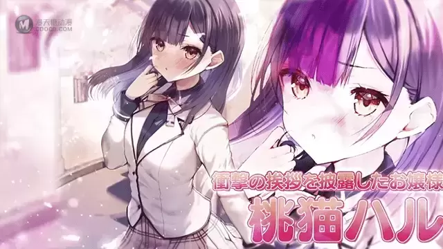 轻小说「虽然可爱却过分慎重的大小姐展露笑容的方法」宣传PV公开 轻小说「虽然可爱却过分慎重的大小姐展露笑容的方法」宣传PV公开