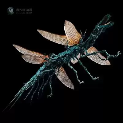 KT Project 风之谷之娜乌西卡 大王蜻蜓 KT Project 风之谷之娜乌西卡 大王蜻蜓