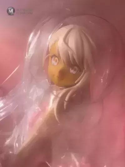 Fate/kaleid liner 魔法少女伊莉雅 克洛伊 泳装Ver. Fate/kaleid liner 魔法少女伊莉雅 克洛伊 泳装Ver.