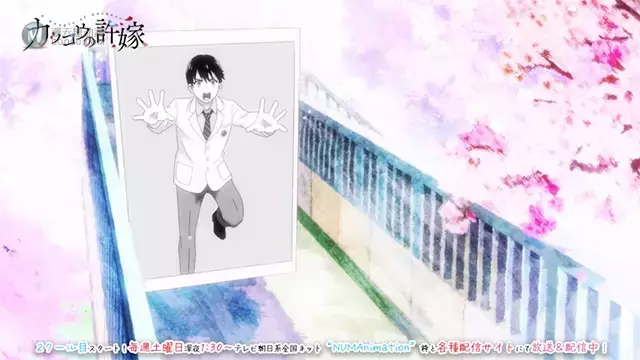 「杜鹃的婚约」后半季ED主题曲无字幕MV公开 「杜鹃的婚约」后半季ED主题曲无字幕MV公开