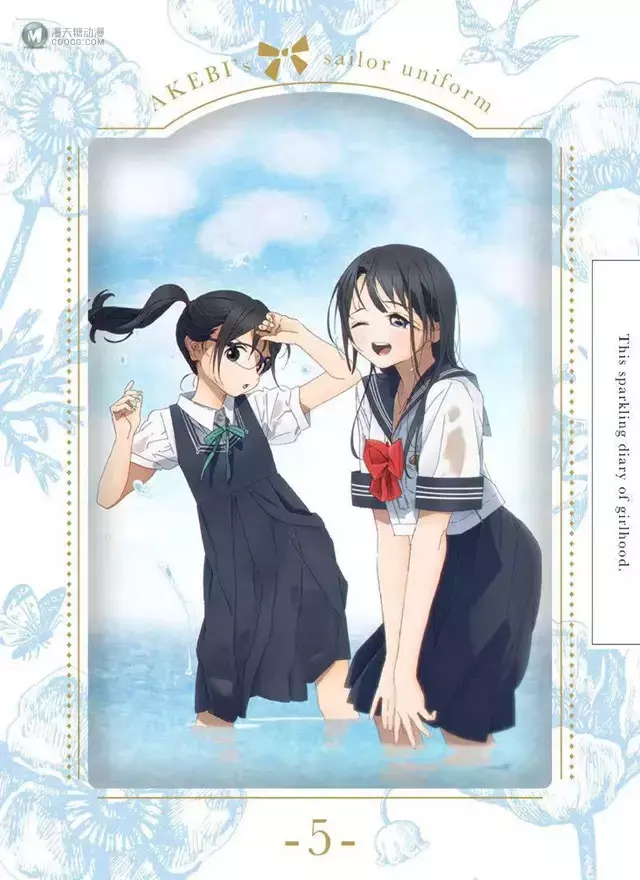 TV动画「明日酱的水手服」BD第五卷封面插图公开 TV动画「明日酱的水手服」BD第五卷封面插图公开