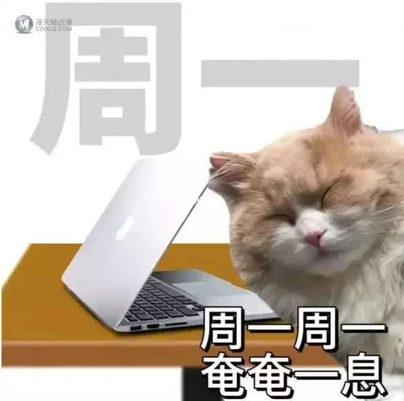 这部新海诚的新作电影 本可以做得更好 这部新海诚的新作电影 本可以做得更好