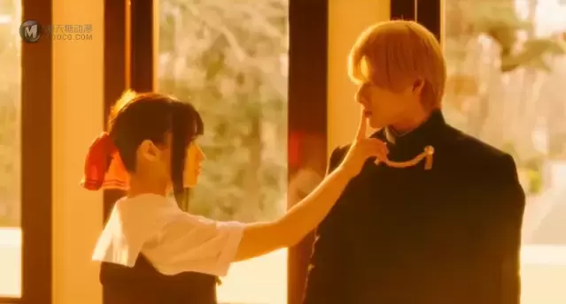 真人电影「辉夜大小姐想让我告白 Final」特报PV公开