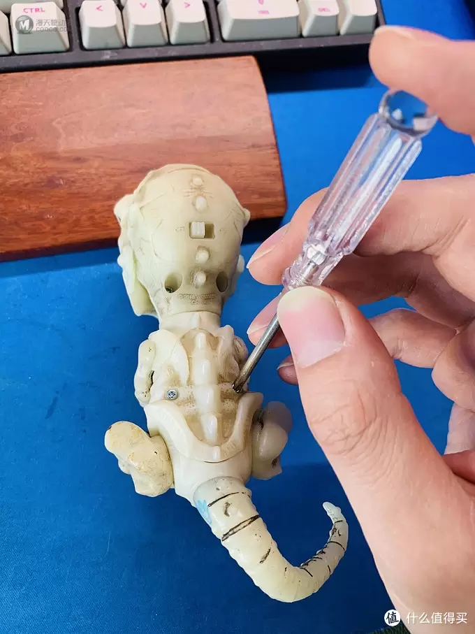 开箱篇 篇一：中年人的小玩具，WowWee 凶猛迅猛龙骨架手指玩具