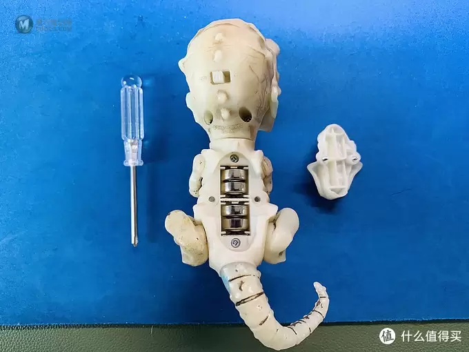 开箱篇 篇一：中年人的小玩具，WowWee 凶猛迅猛龙骨架手指玩具